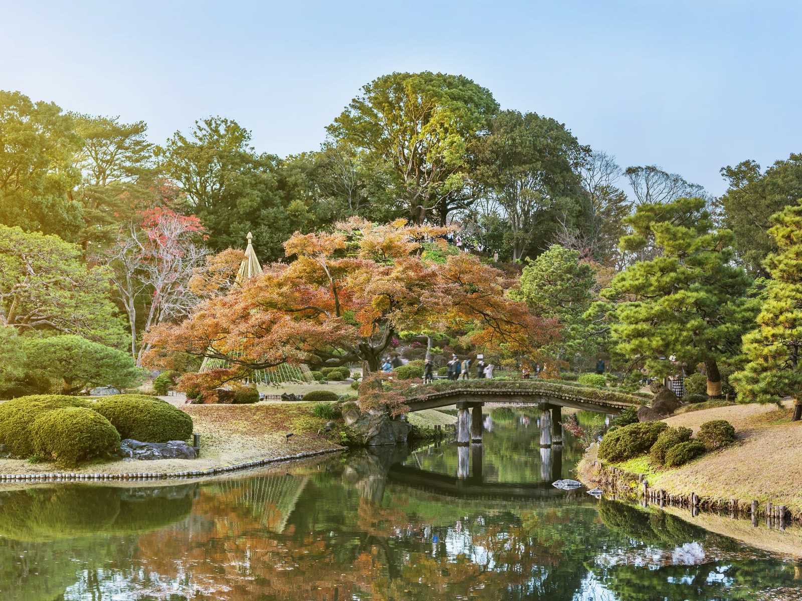 12-stunning-parks-and-gardens-in-tokyo-you-need-to-see