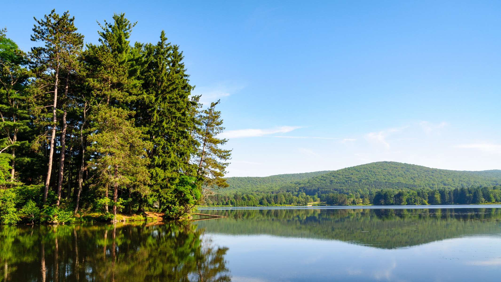 Escape to the Wild: Your Adventure Awaits in Allegany State Park