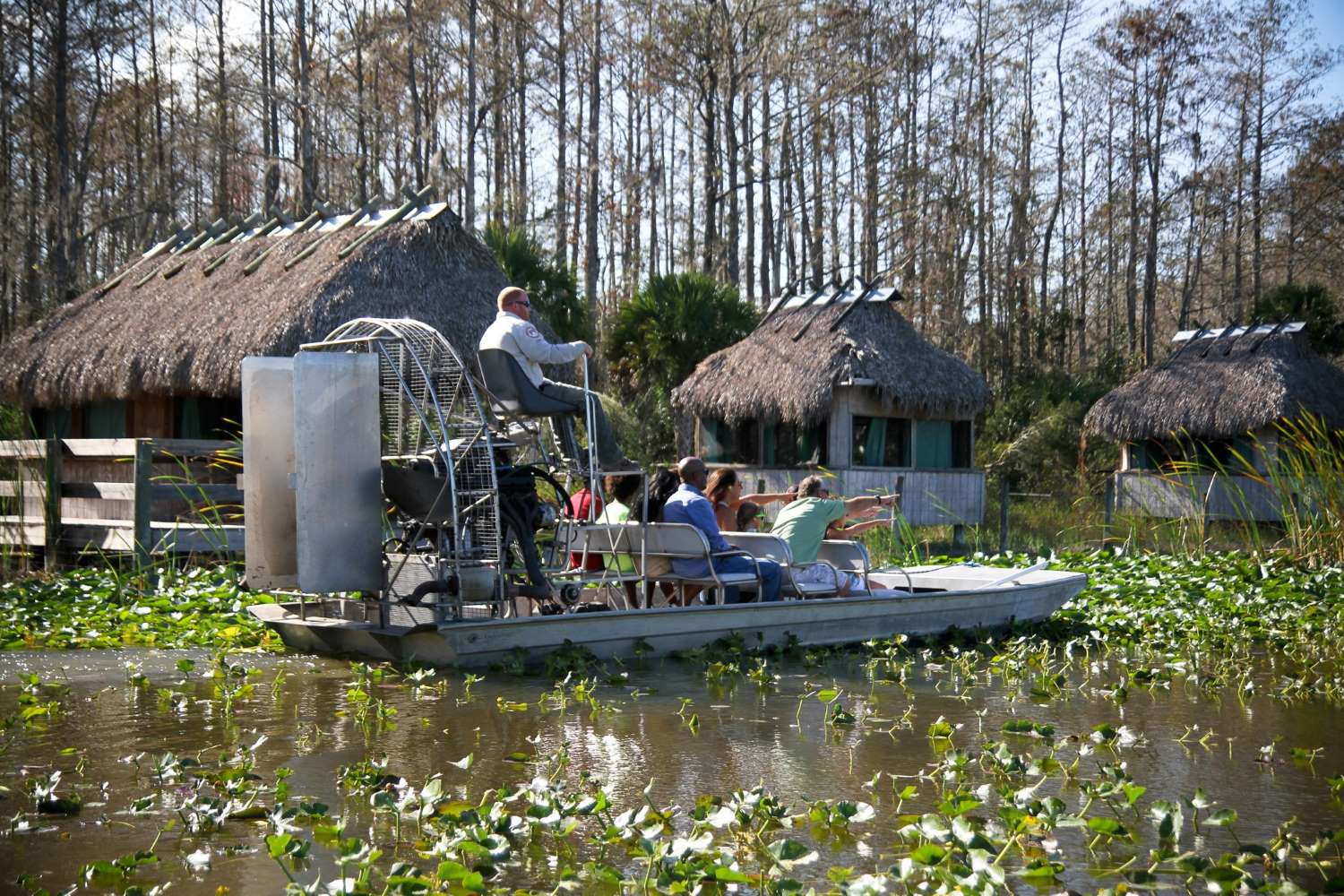 everglades-airboat-tours-floridas-wild-wetlands