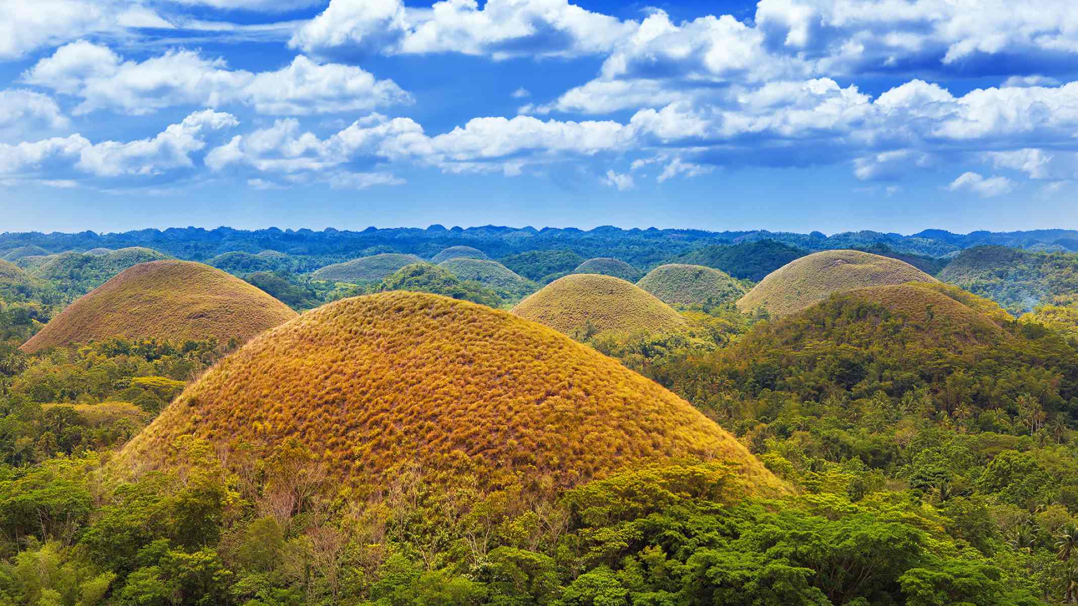 hidden-culinary-gems-in-bohol-you-need-to-try