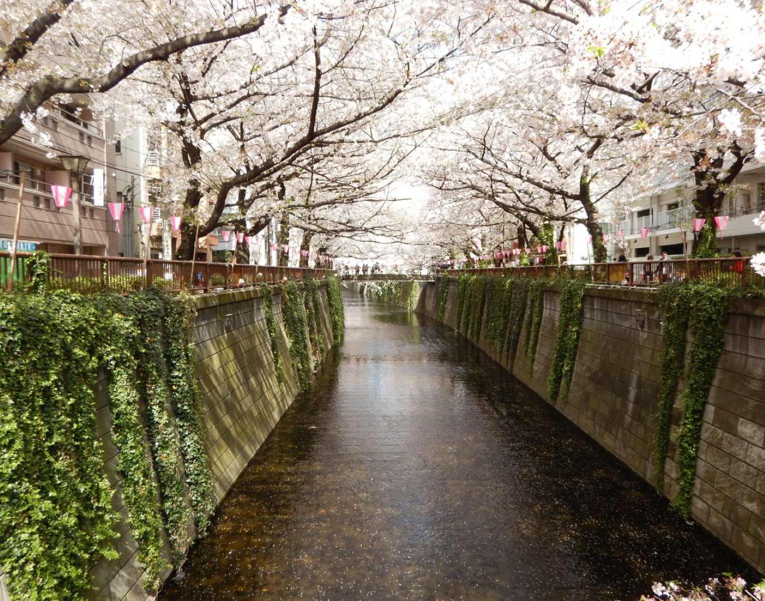 hidden-gems-and-must-see-spots-in-meguro-tokyo