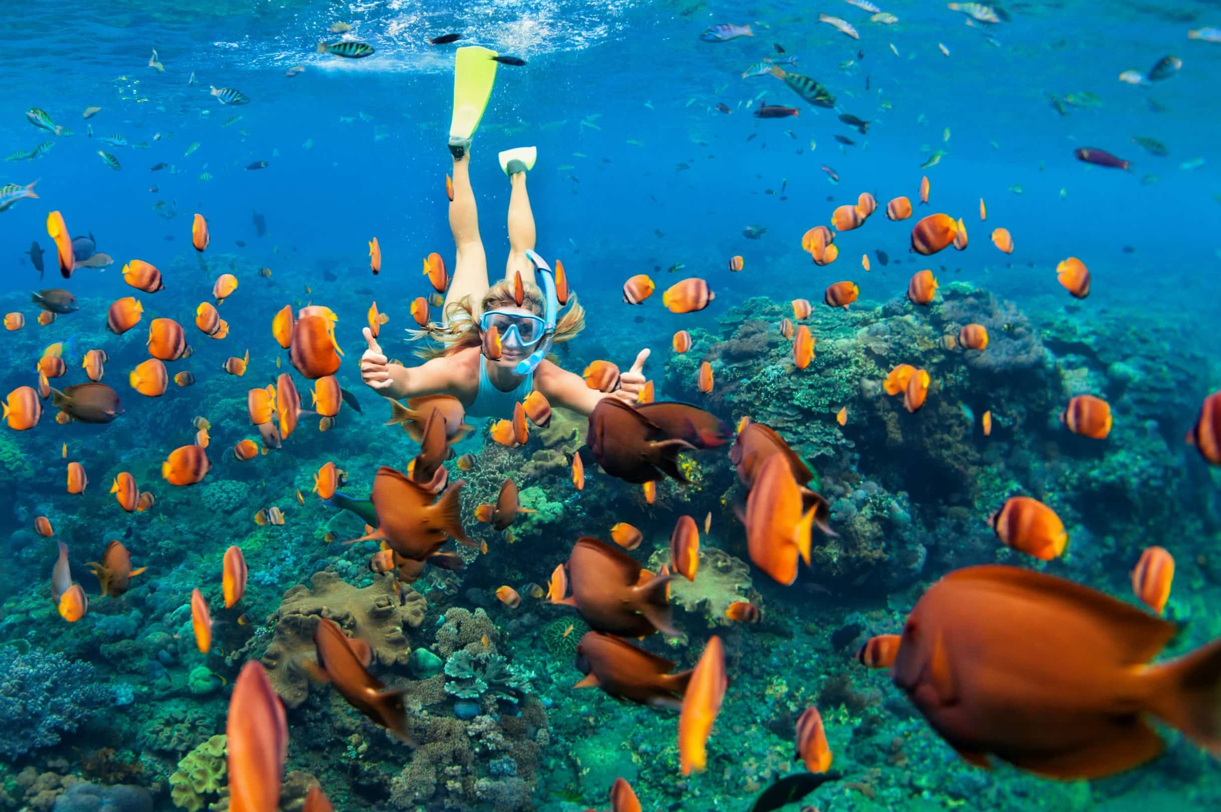 molokini-crater-snorkeling-mauis-underwater-caldera