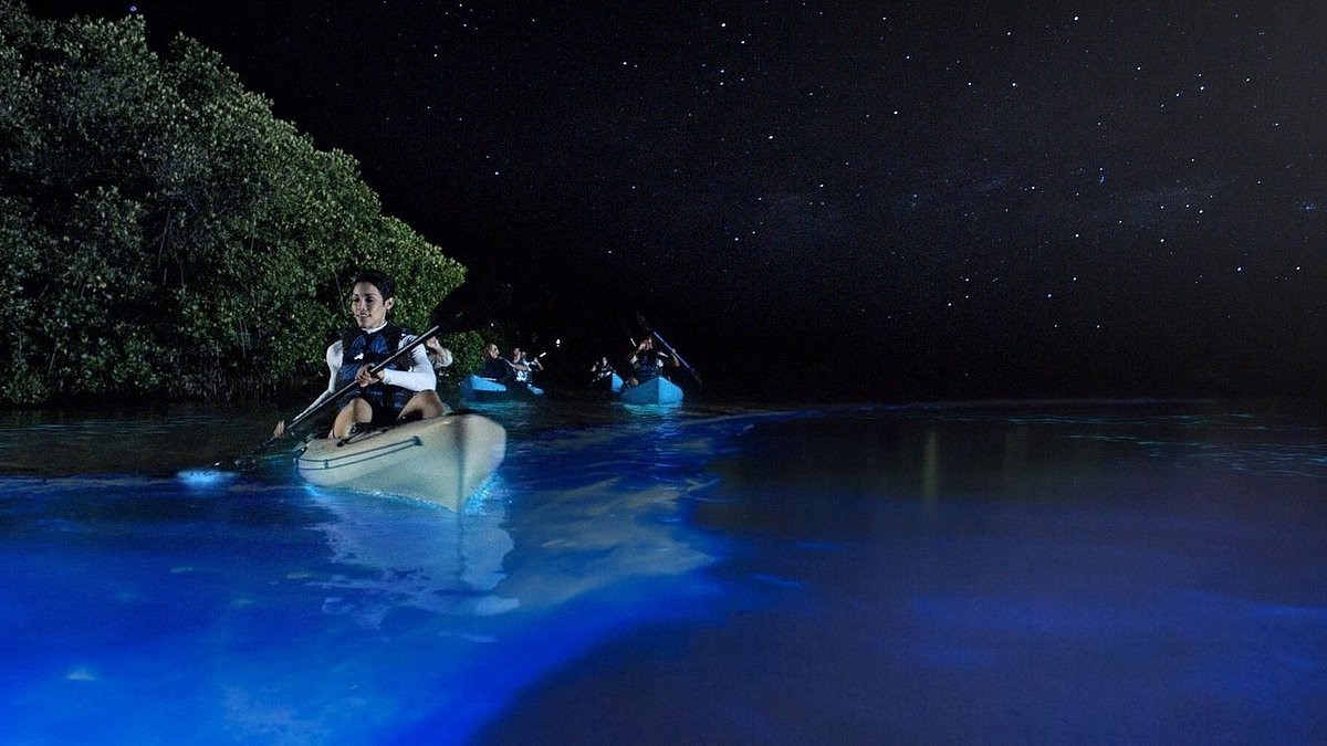 secrets-of-puerto-ricos-enchanting-glow-in-the-dark-beaches