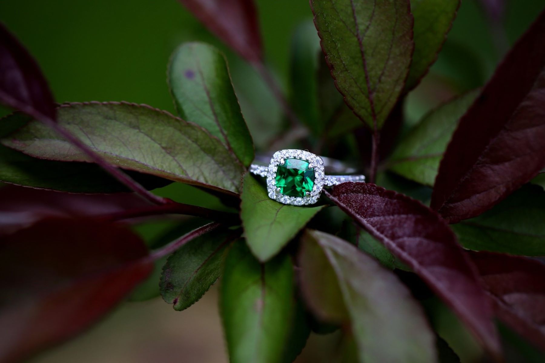 secrets-to-buying-emeralds-in-colombia-you-never-knew