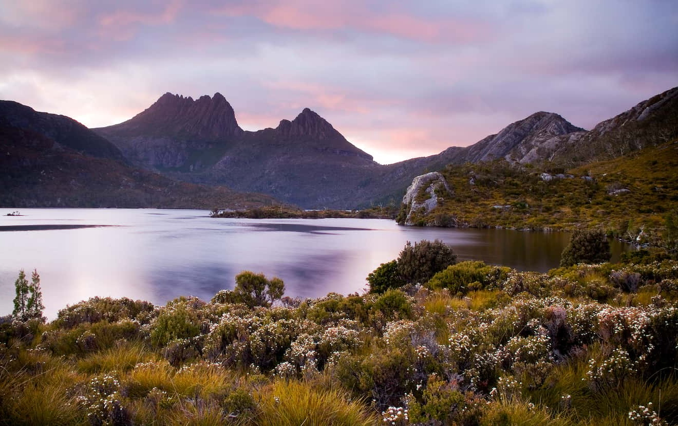 unlock-the-secrets-of-a-perfect-7-day-adventure-in-tasmania