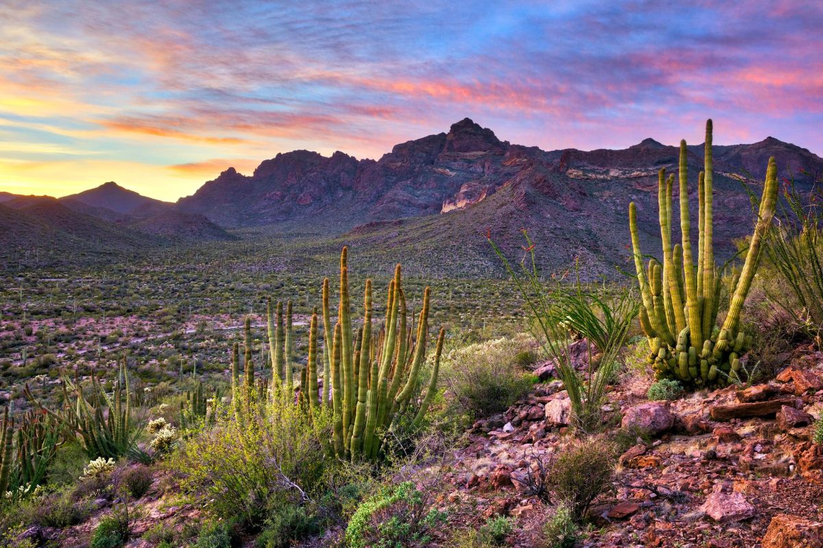 10 Hidden Towns In Arizona's Sonoran Desert | TouristSecrets