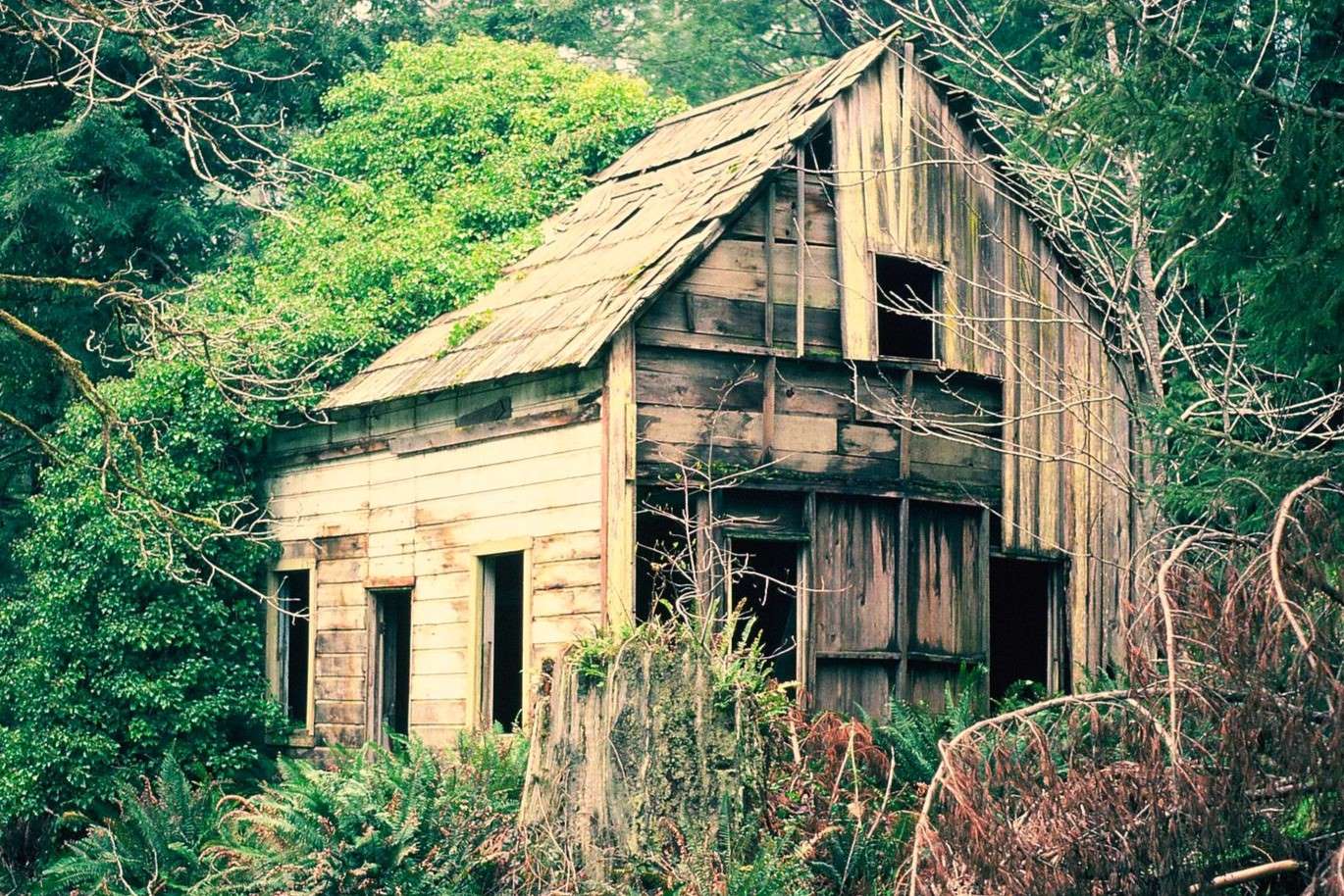 Hidden Timber Towns Of Humboldt County TouristSecrets