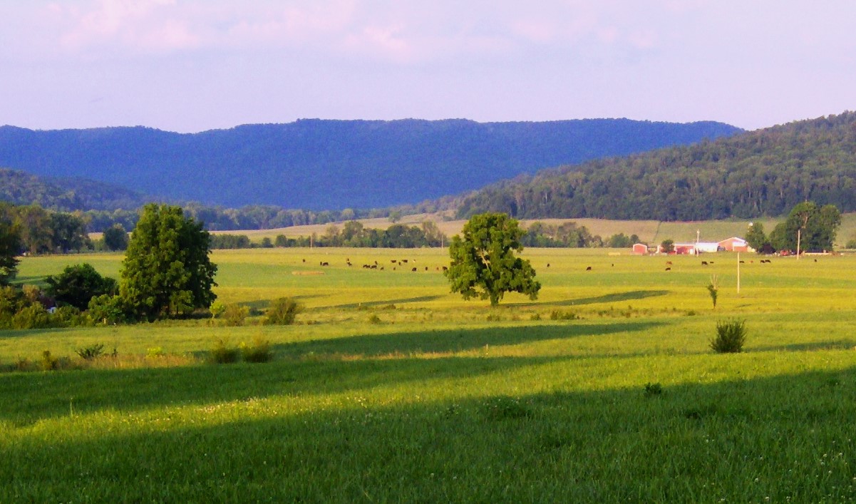 Hidden Springs Of Tennessee's Cumberland Plateau | TouristSecrets