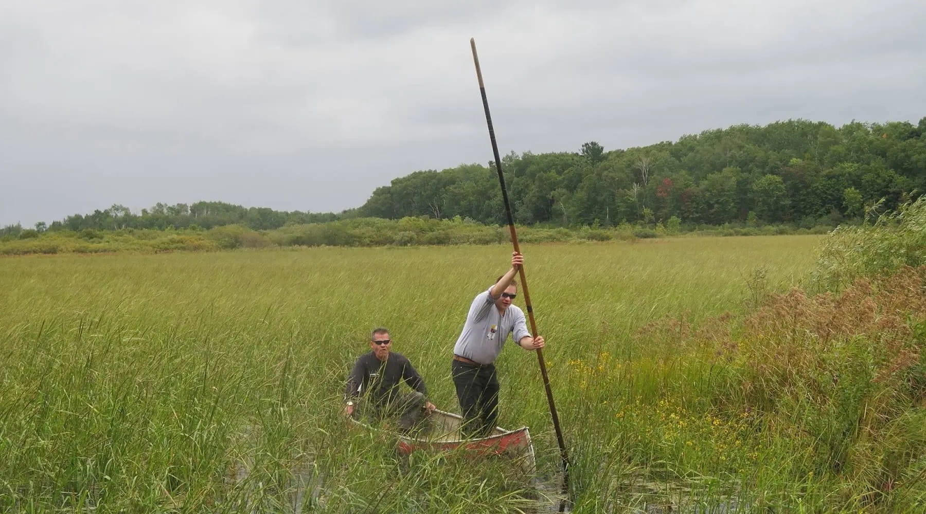 Wild Rice Beds Hidden In Minnesota's Lakes | TouristSecrets