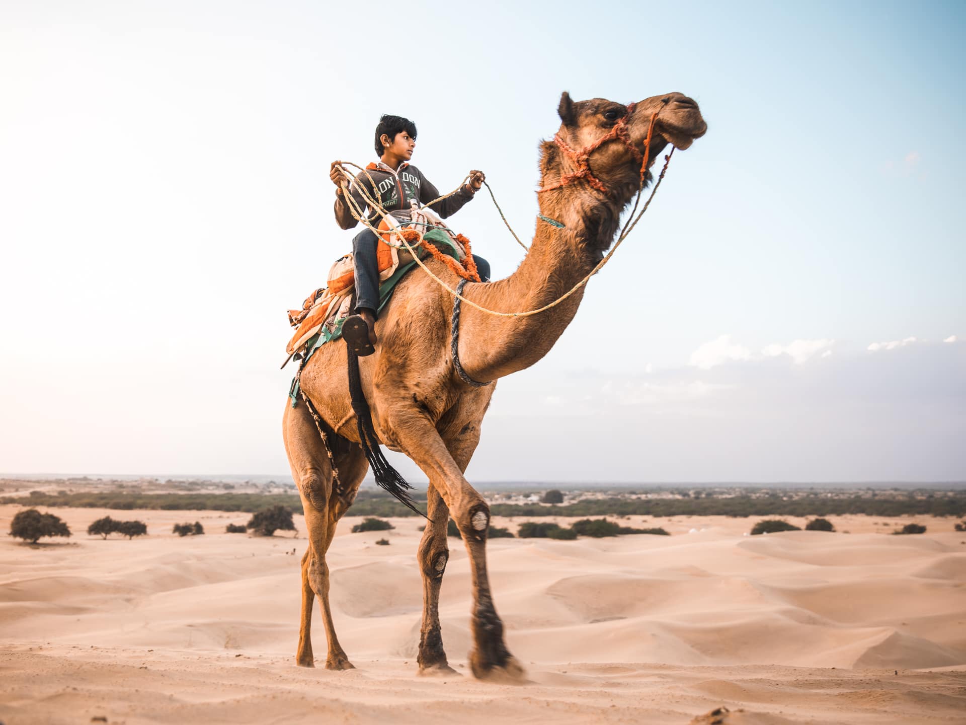 jaisalmers-hidden-camel-safari-adventure