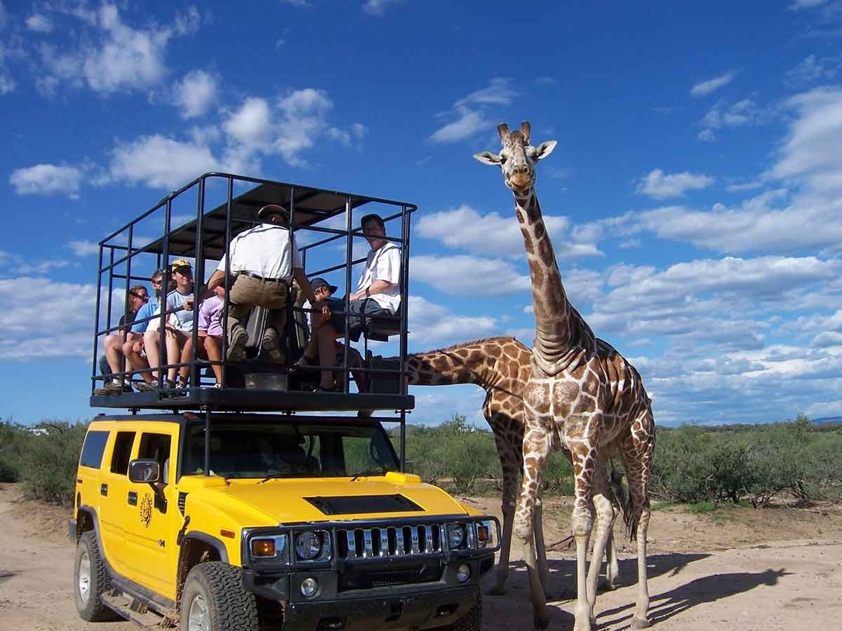 wild-adventures-await-at-out-of-africa-wildlife-park