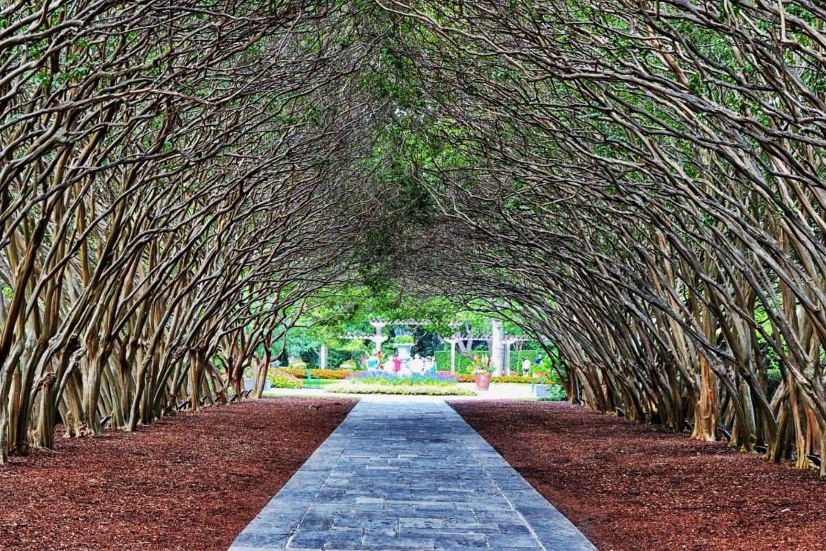 Dallas Arboretum's Floral Wonderland TouristSecrets