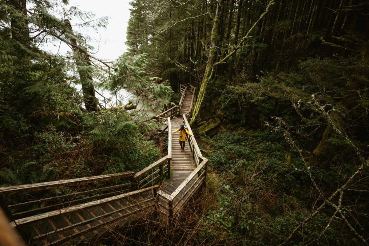 Exploring The 5 Hidden Lumber Towns Of The Pacific Northwest ...