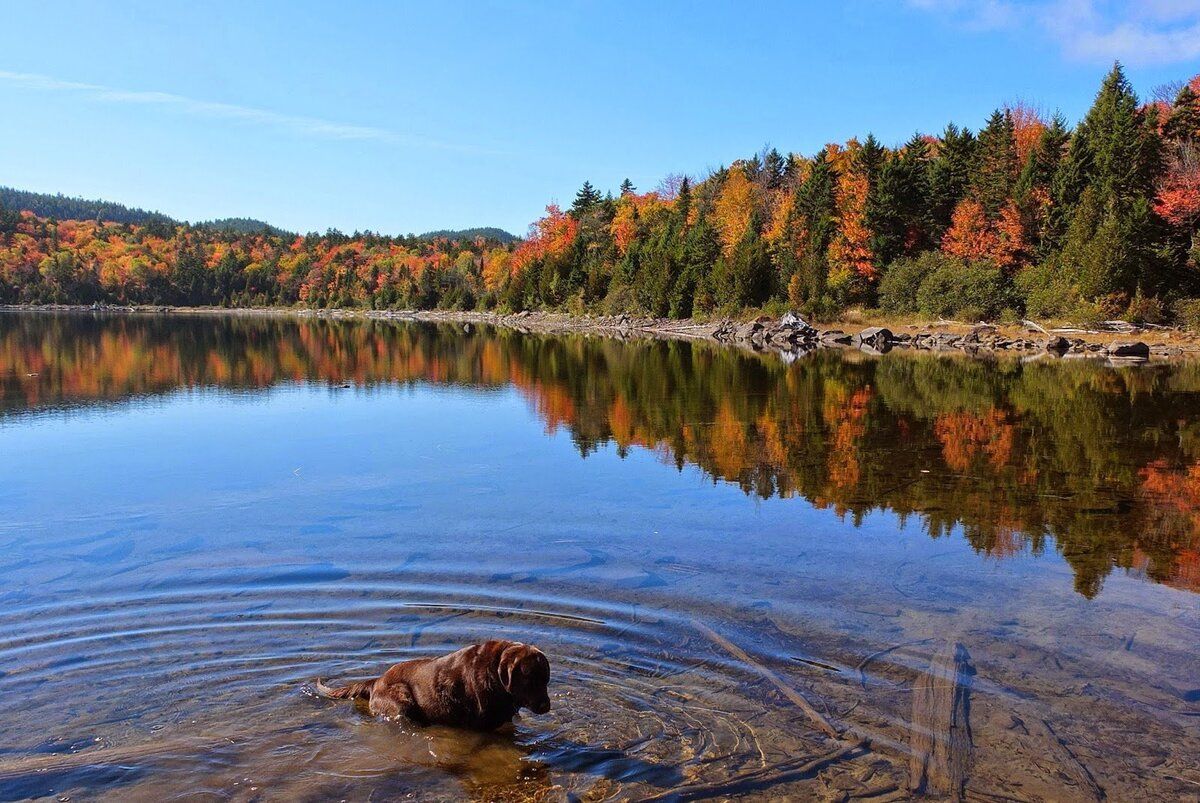 Secret Moose Ponds In Maine | TouristSecrets