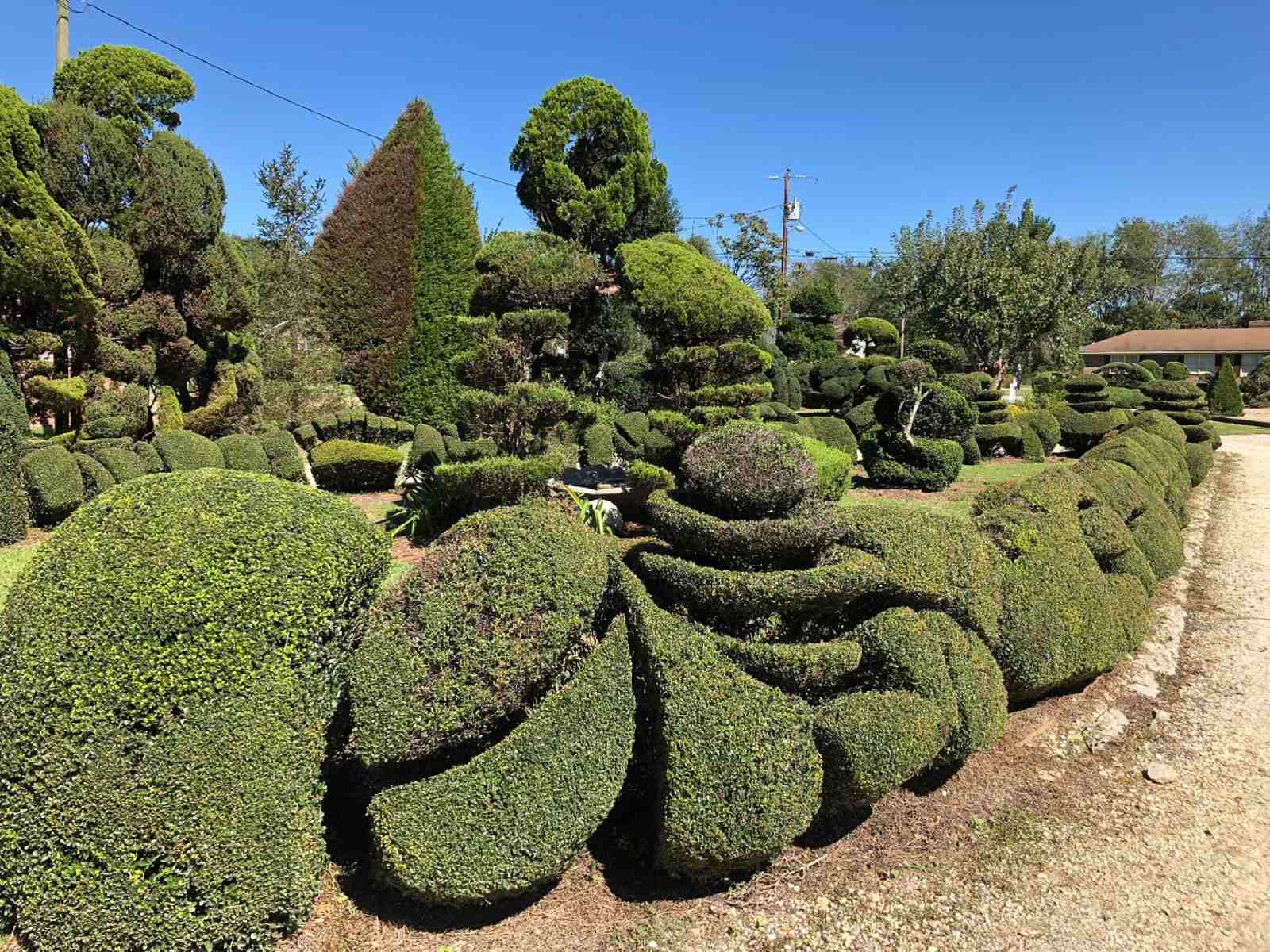 South Carolina&amp;#39;s Secret Fryar Topiary Garden Sculptures | TouristSecrets