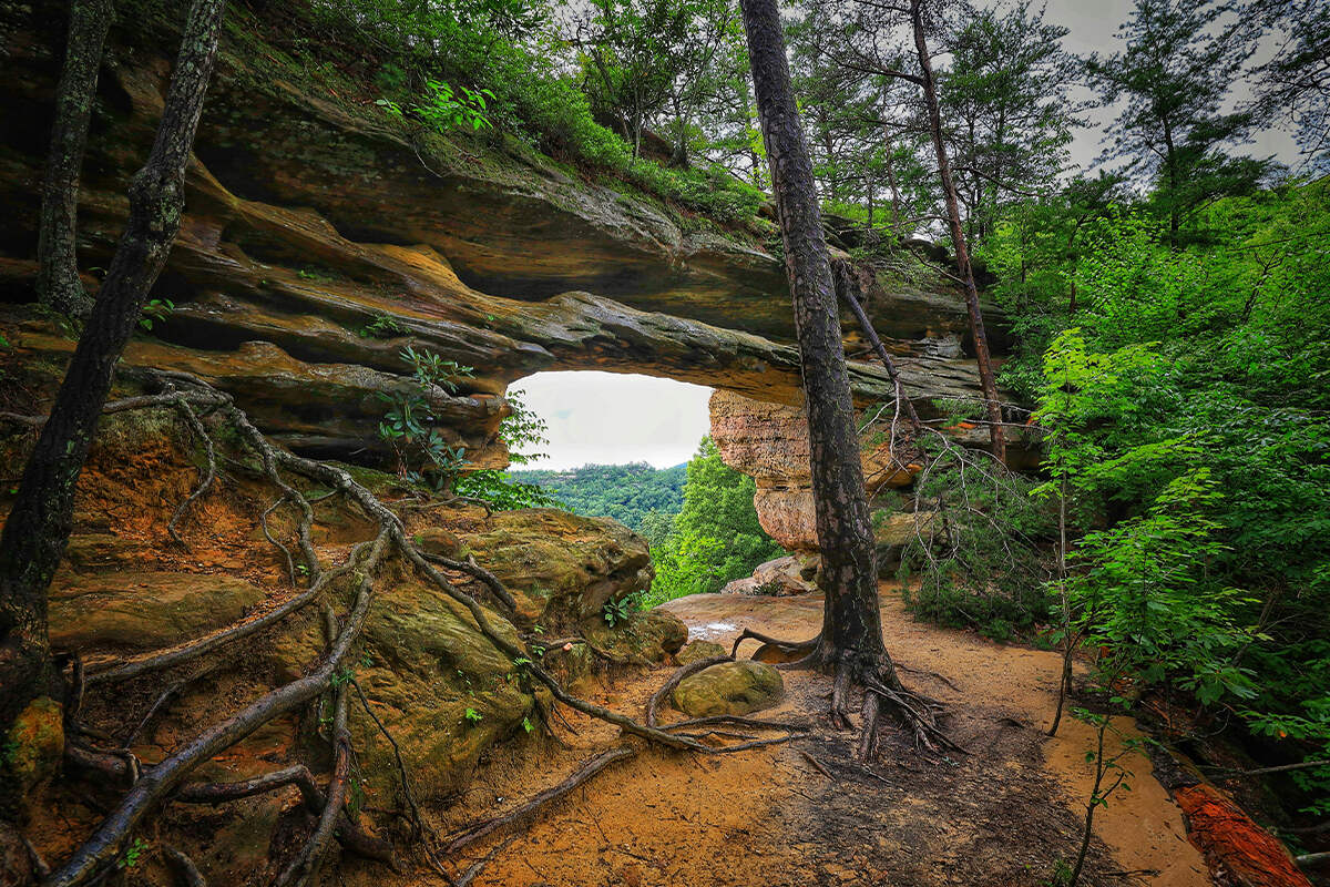 Ancient Trails Of Kentucky's Daniel Boone | TouristSecrets