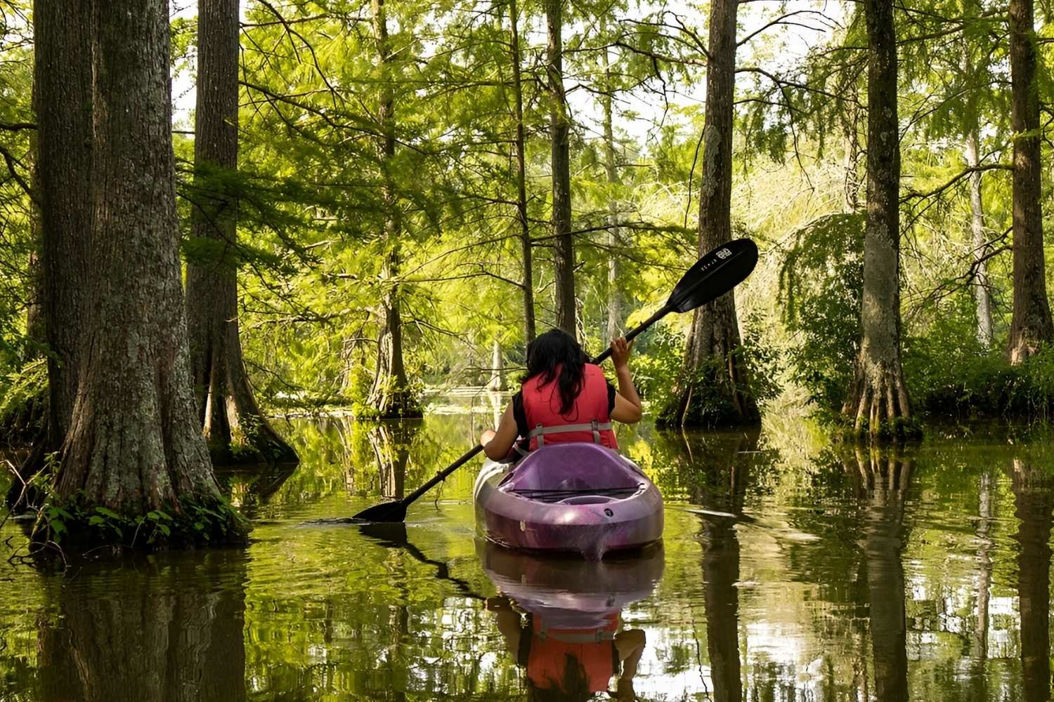 Delaware's Secret Trap Pond And Its Unique Baldcypress Trees ...