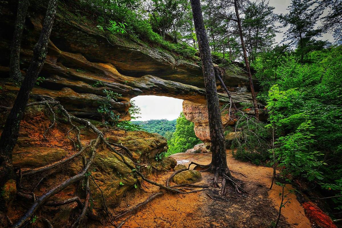 Hidden Forest Glades Of Kentucky's Natural Bridge | TouristSecrets