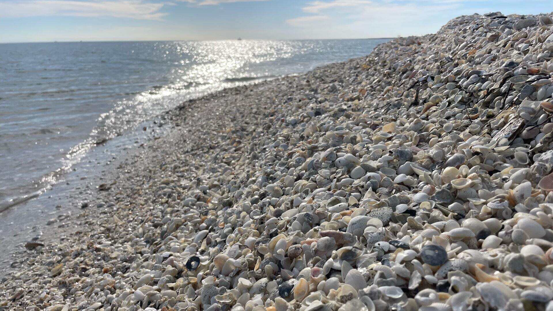 Mysteries Of Florida's Shell Key Islands | TouristSecrets