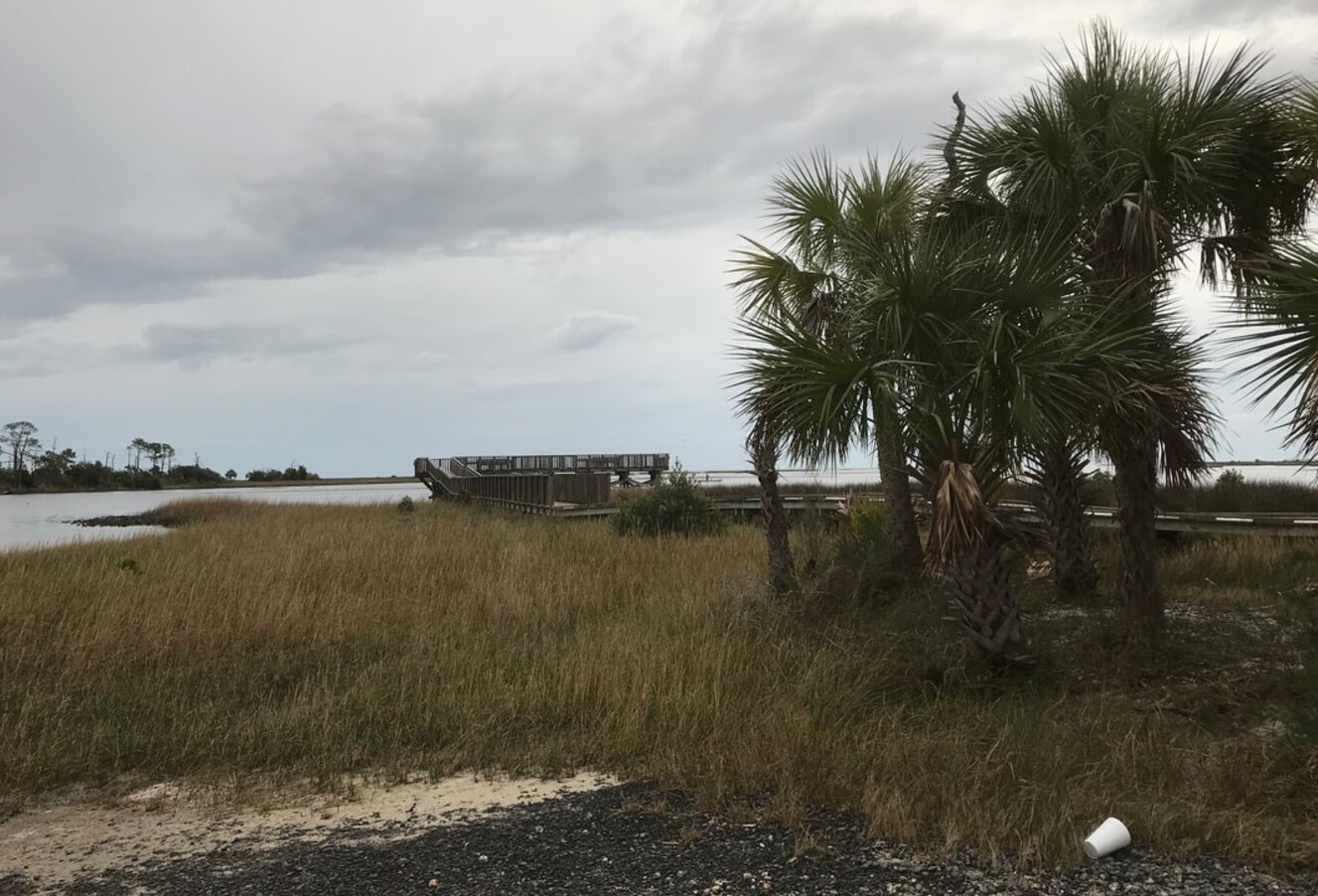 Mysteries Of Florida's Cedar Key | TouristSecrets