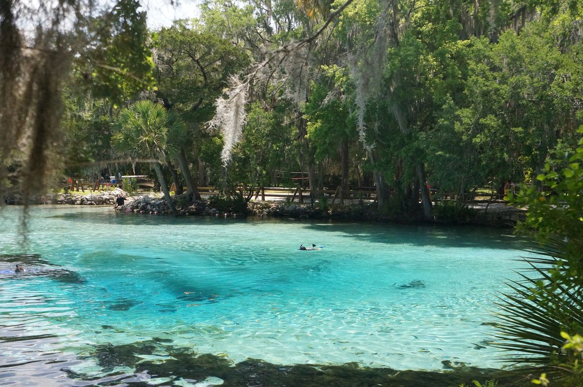 Secrets Beneath Florida's Silver Glen | TouristSecrets