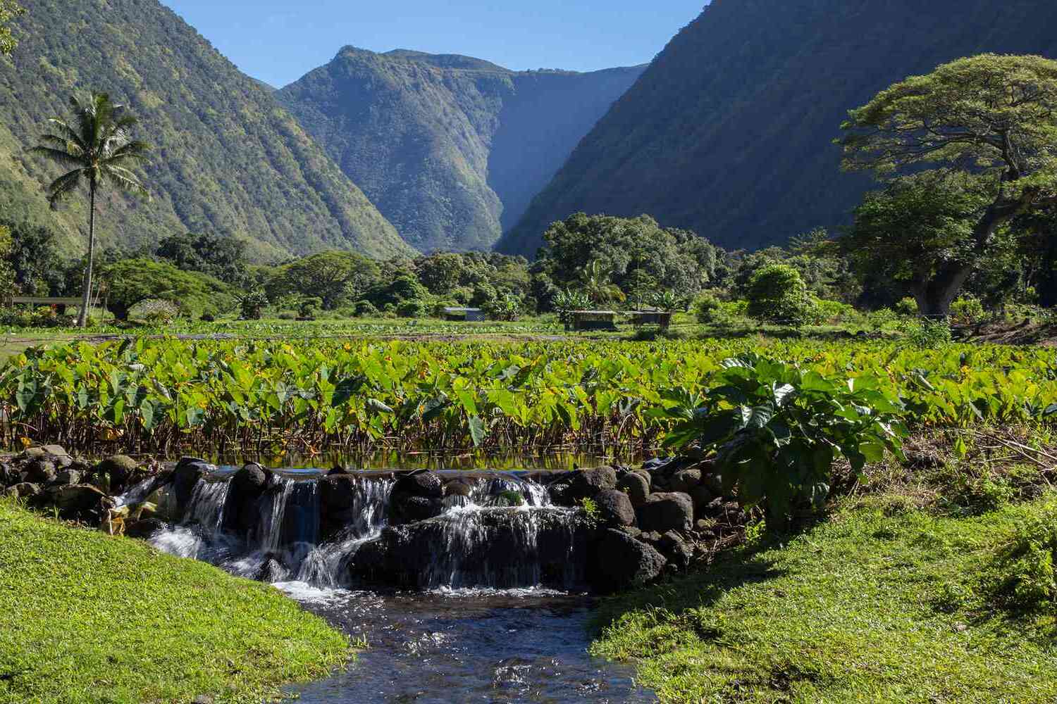 Mysteries Of Hawaii's Kings Trail | TouristSecrets