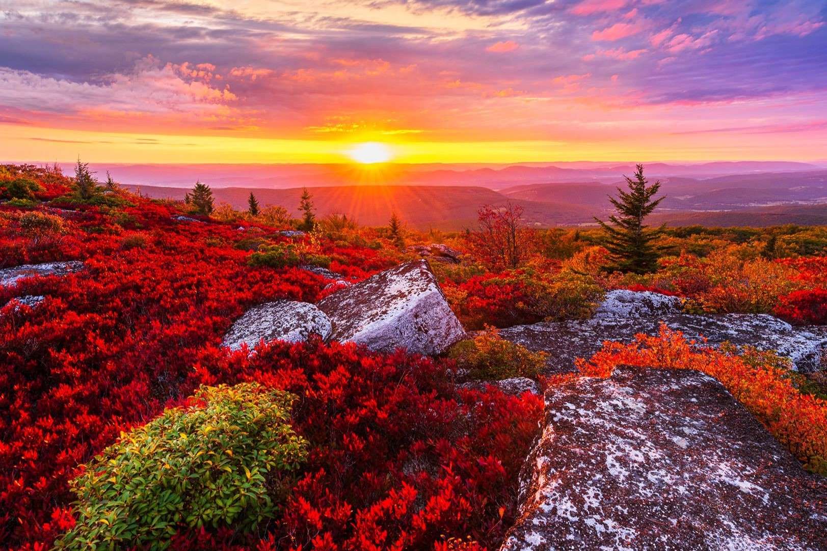 Hidden Trails Of West Virginia's Dolly Sods | TouristSecrets