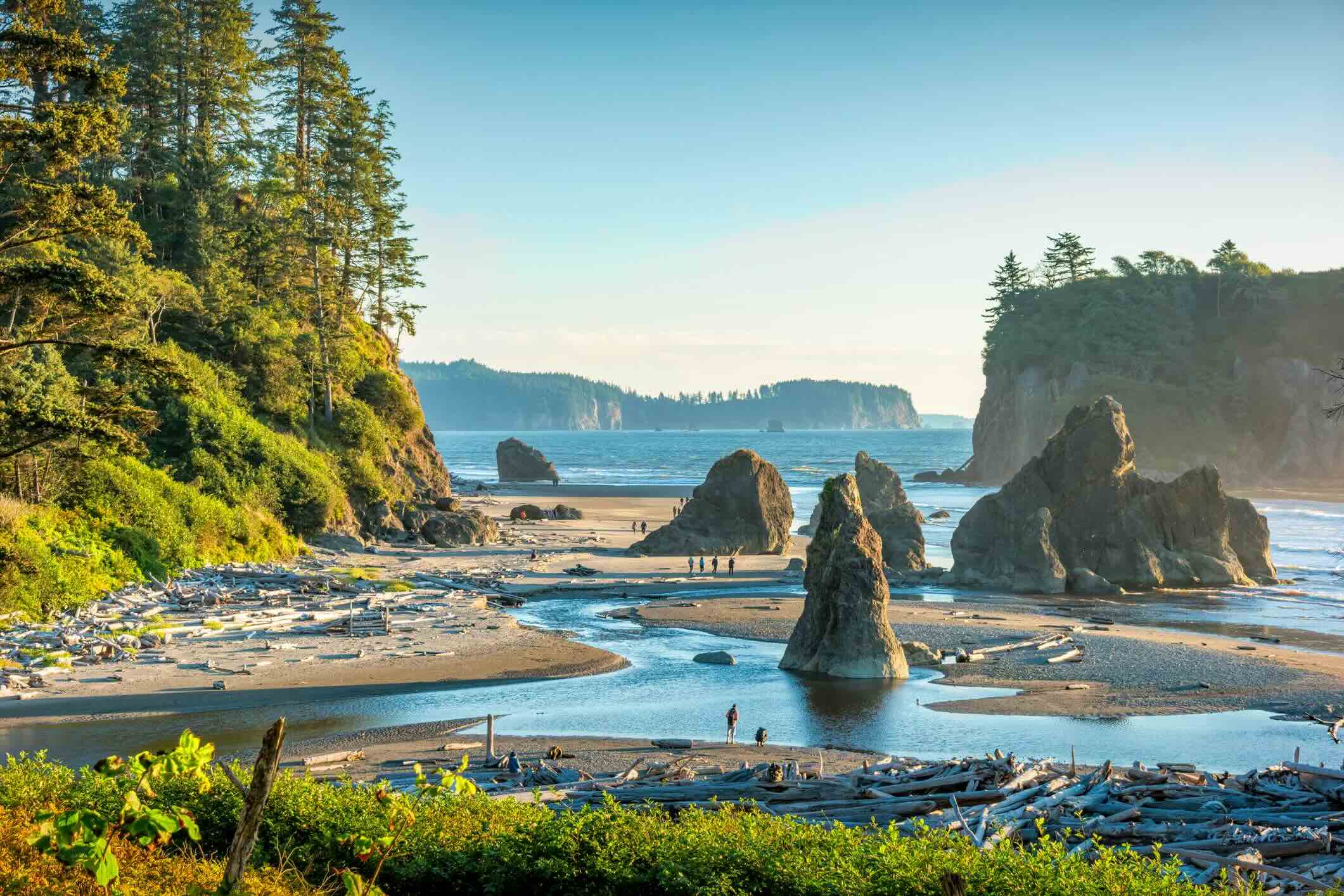 Mystery Of Washington's Olympic Stone Rings | TouristSecrets