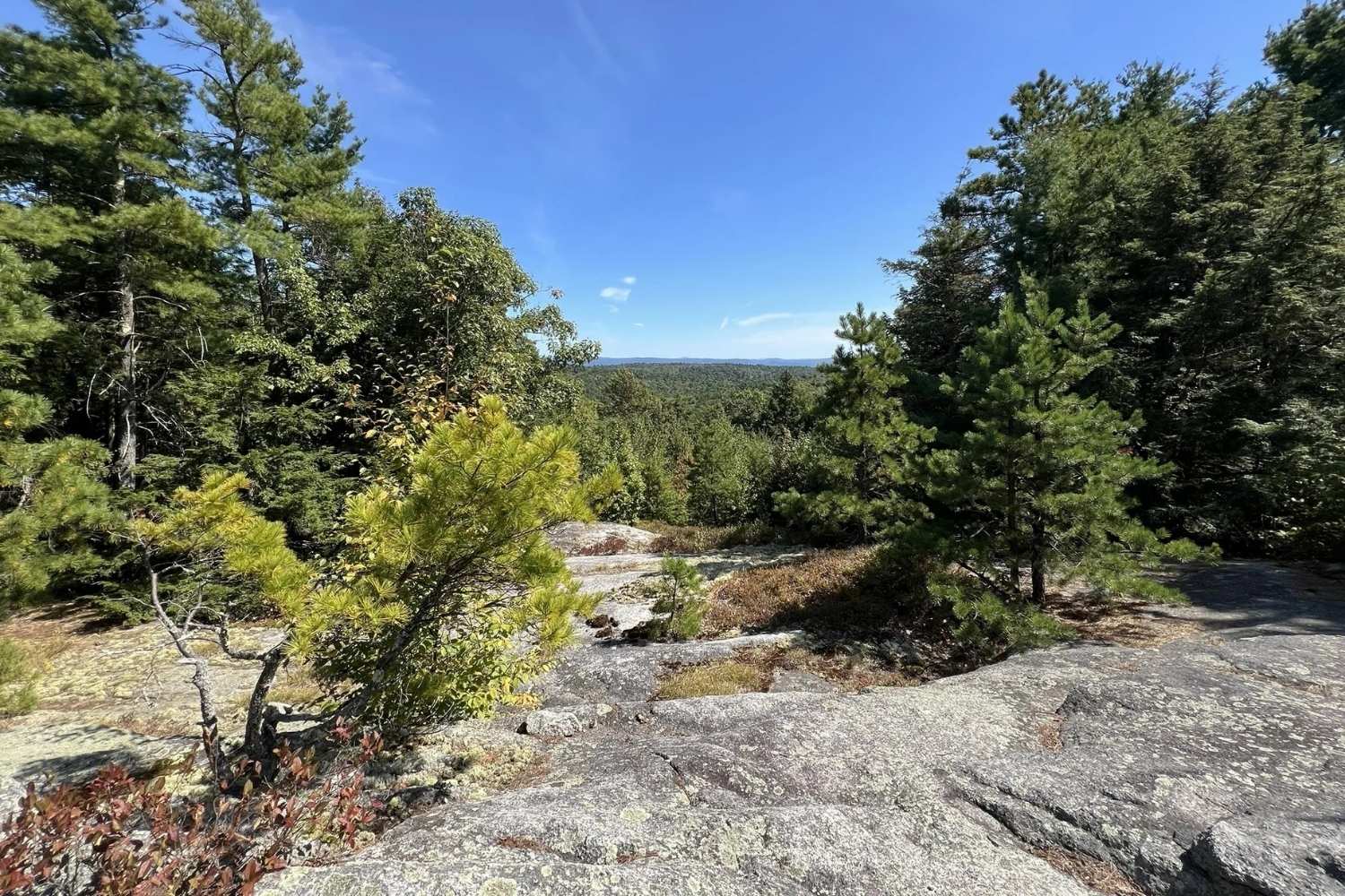 New Hampshire's Secret Trails At Pisgah State Park | TouristSecrets