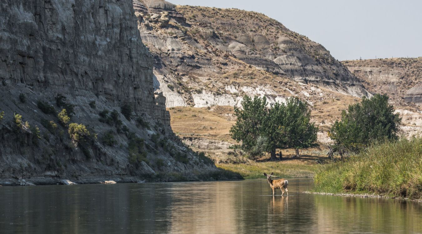 Hidden Homesteads Of Montana's Missouri Breaks | TouristSecrets