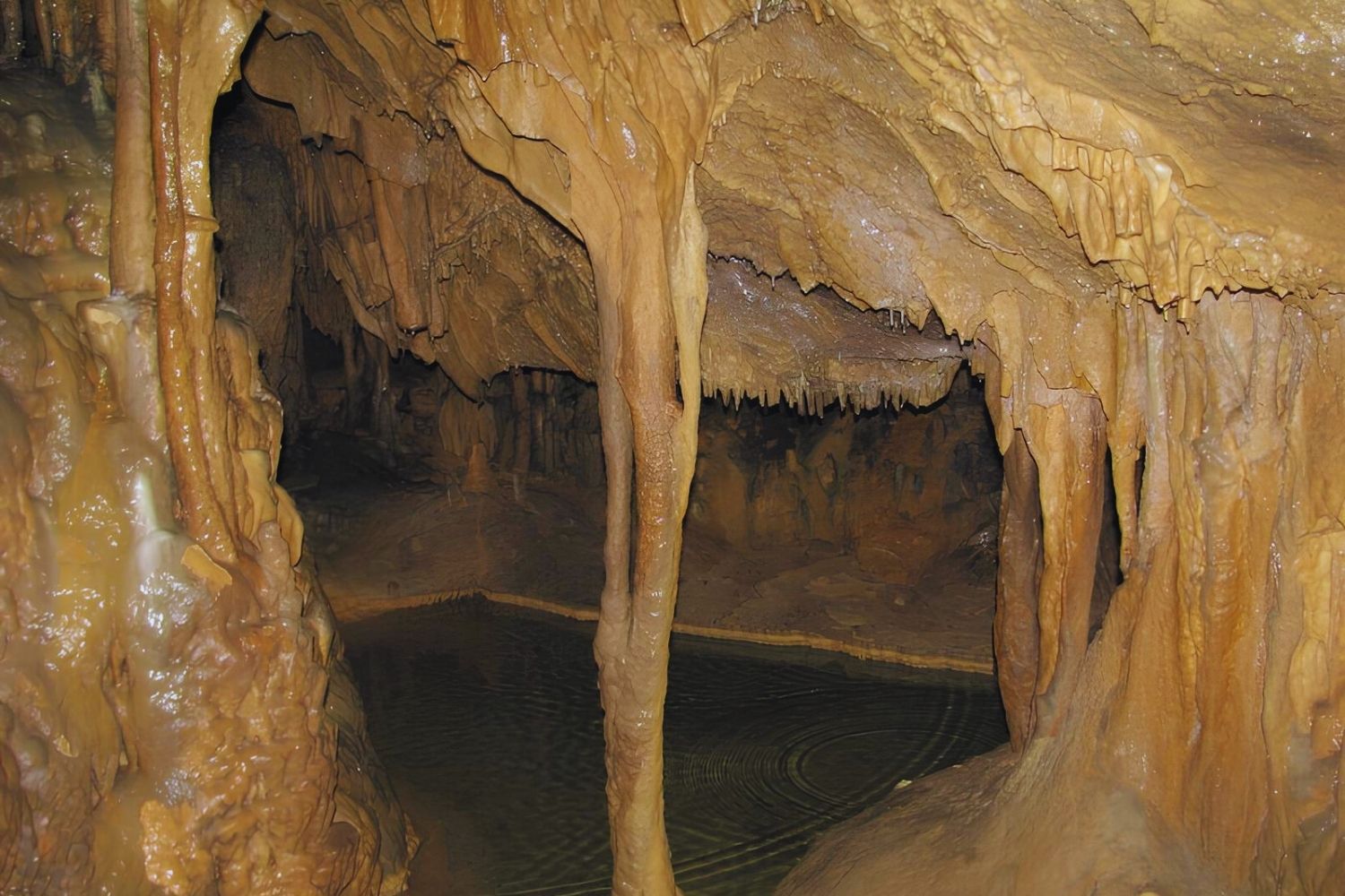 Secret Cave Systems Of Tennessee's Worley | TouristSecrets