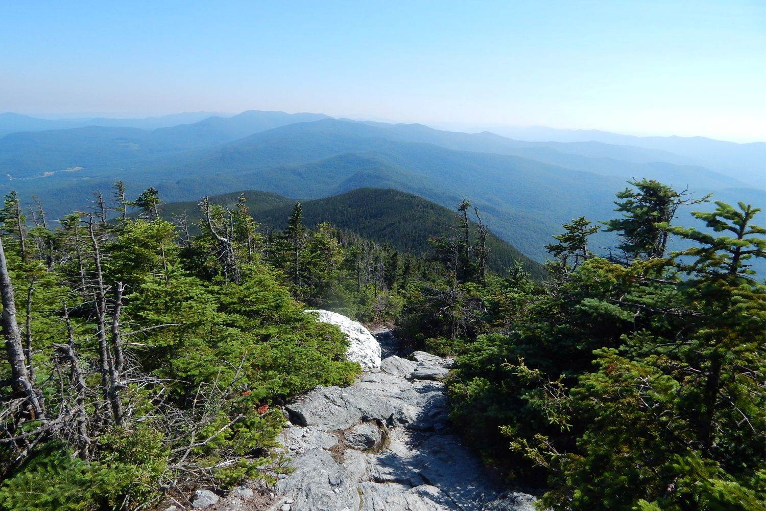 Secrets Of Vermont's Glastenbury Forest | TouristSecrets