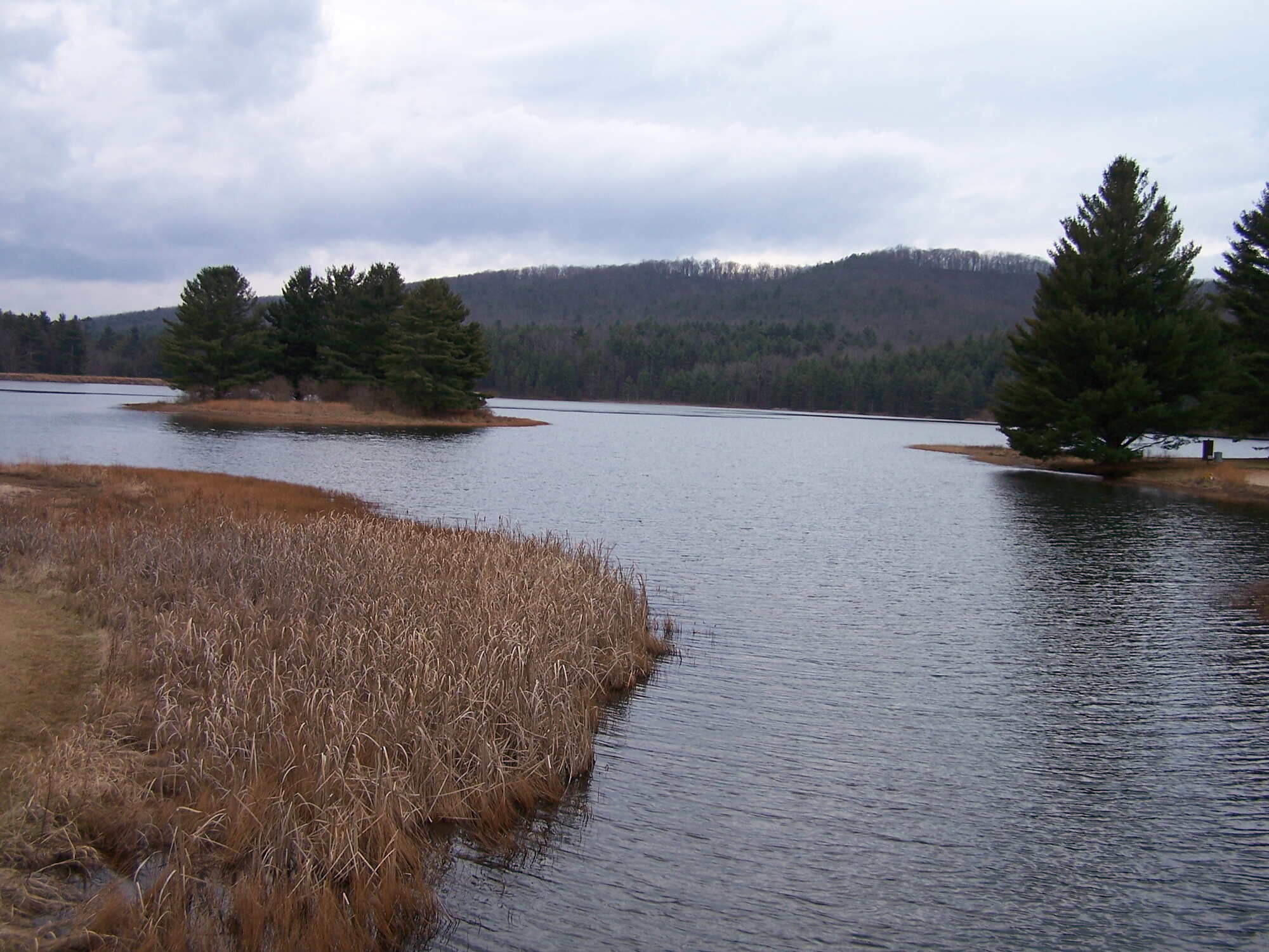 Secrets Of West Virginia's Cranberry Glades | TouristSecrets