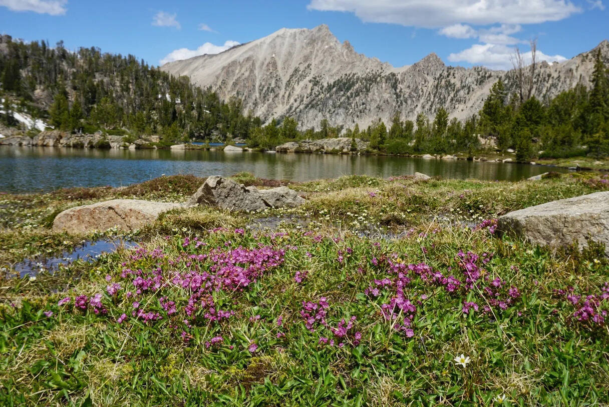 Hidden Stories Of Idaho's Boulder-white 