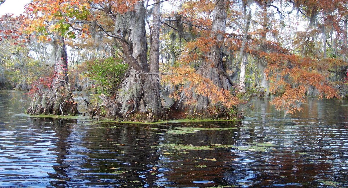 Hidden Trails Of North Carolina's Merchant's 