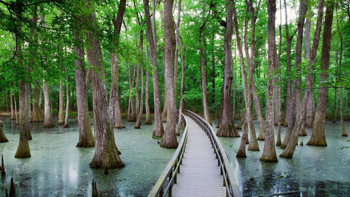 Mysteries Hidden In Mississippi's Ghost Lake | TouristSecrets