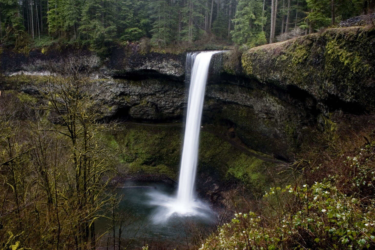 Mysteries Of Oregon's Silver Falls Waters | TouristSecrets