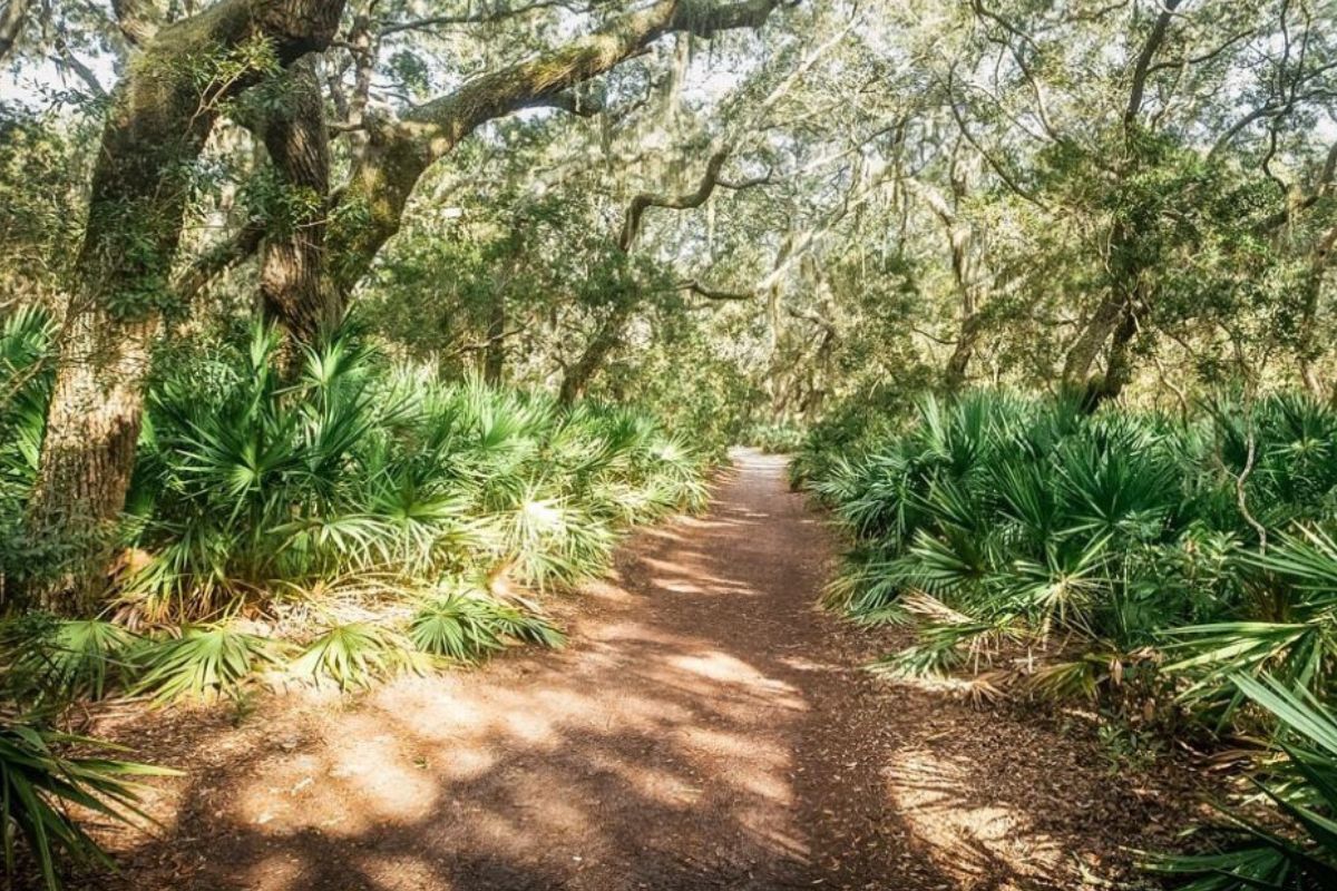 Secrets Of Georgia's Cumberland Island Ruins | TouristSecrets