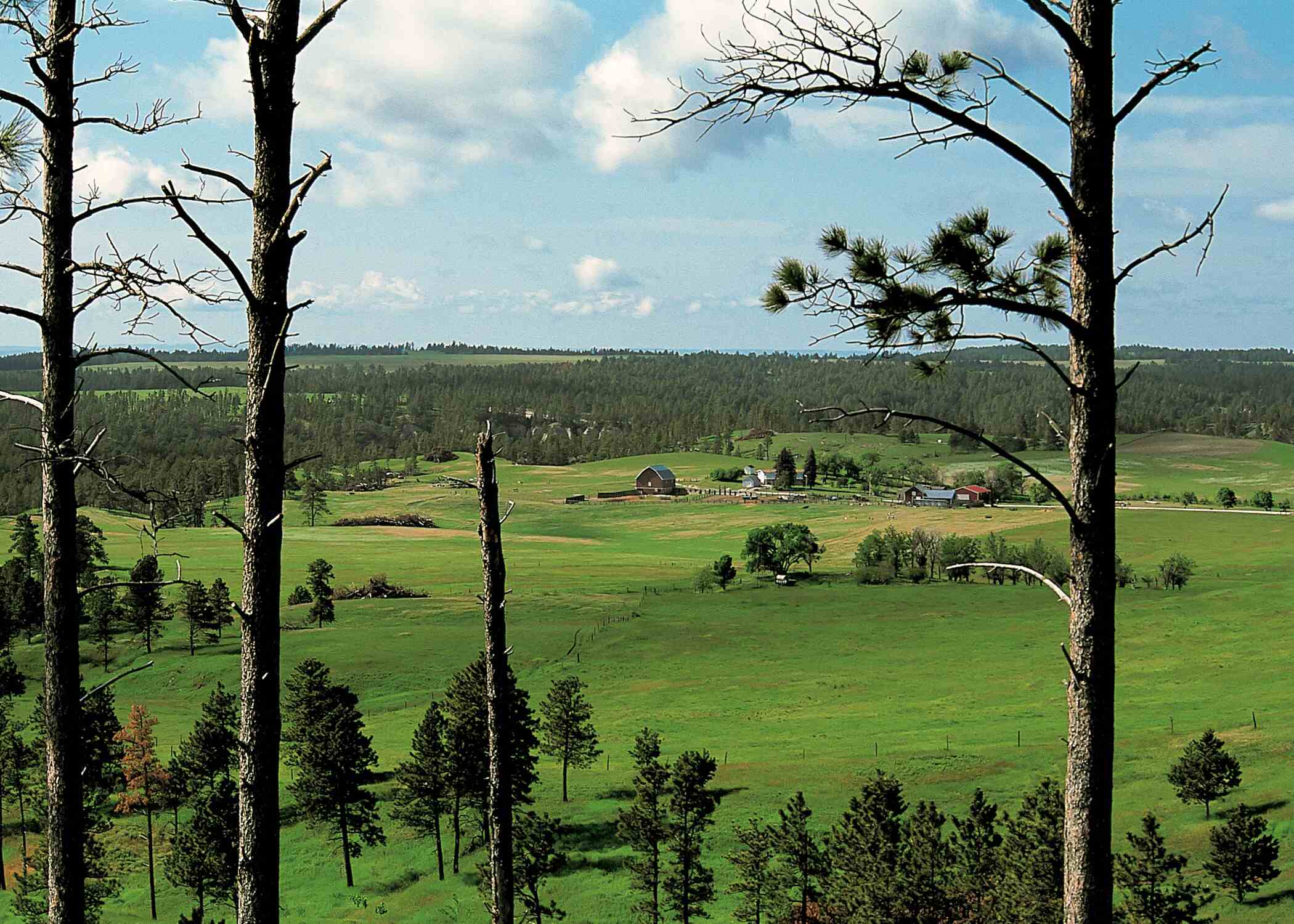 Secrets Of Nebraska's Pine Ridge Trails | TouristSecrets