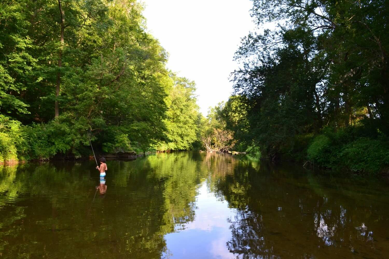 Hidden Springs Of Delaware's White Clay Creek | TouristSecrets