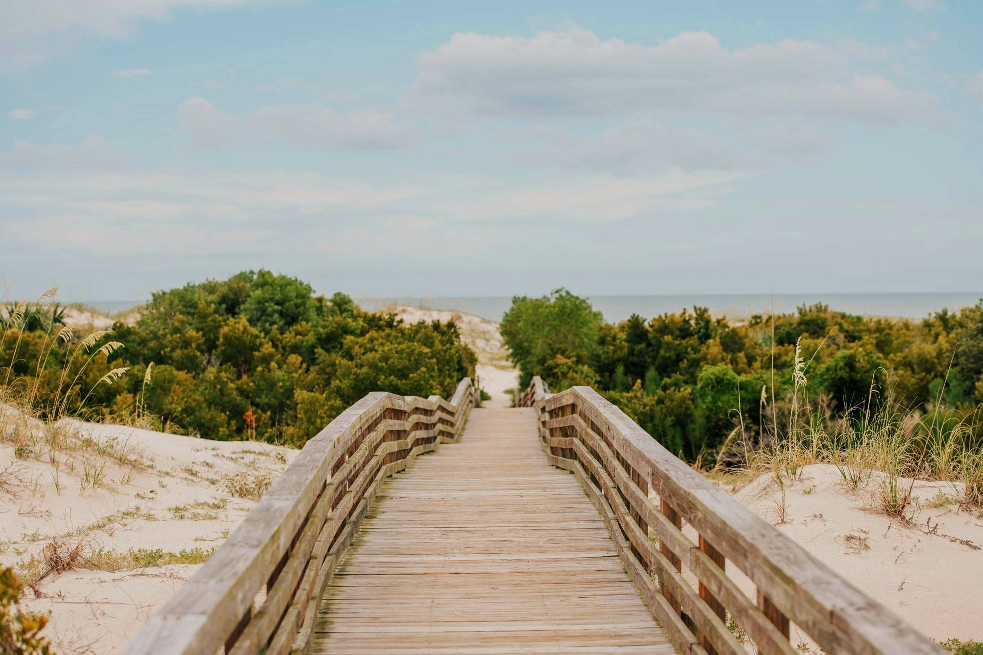 Secrets Of Georgia's Cumberland Island Ruins | TouristSecrets