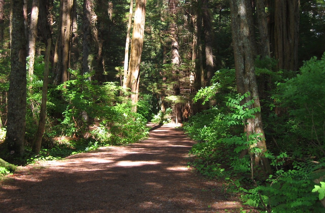 16 National Parks in Alaska: A Complete Guide